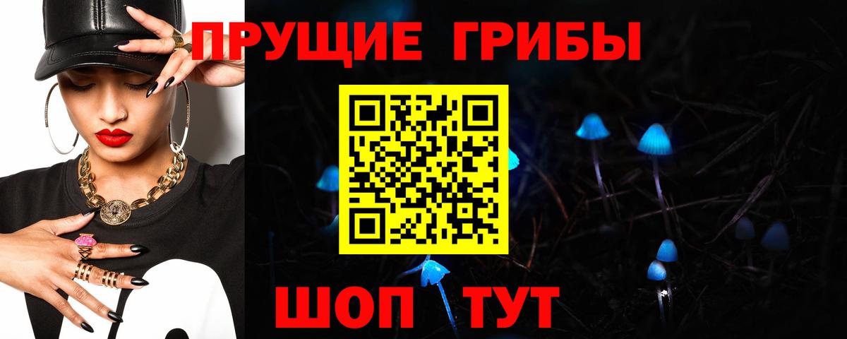 Дивногорск  Галлюциногенные грибы Cubensis  Вход с VPN 